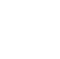 Logo Designing 4 values-logo designing